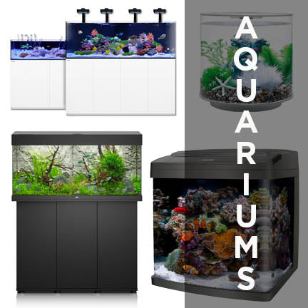 Aquariums – Puddle Aquatics