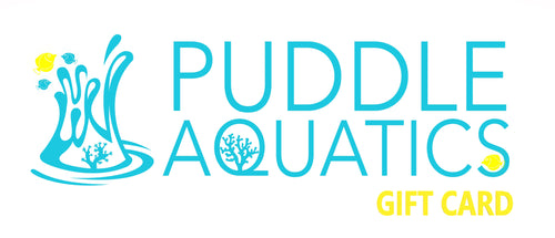 Puddle Aquatics Gift Card